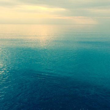 surfcenter_wustrow_sea_web